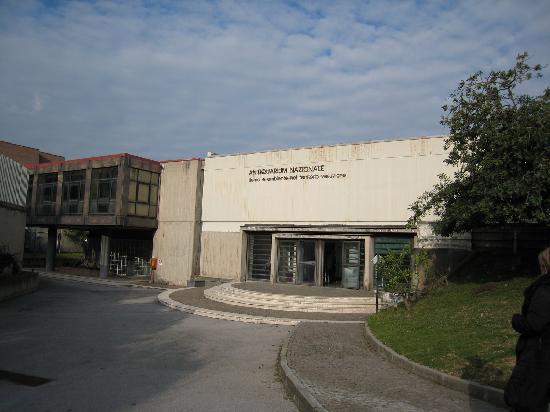 Antiquarium Boscoreale