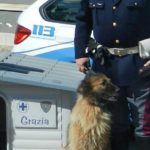 cane abbandonato salvato dai poliziotti