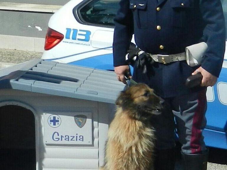 cane abbandonato salvato dai poliziotti