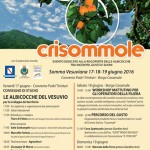 programma albicocche