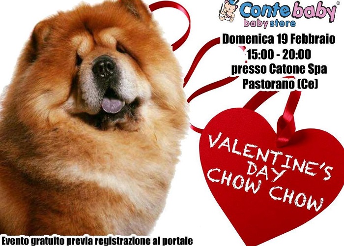 valentines-chow chow-mostra